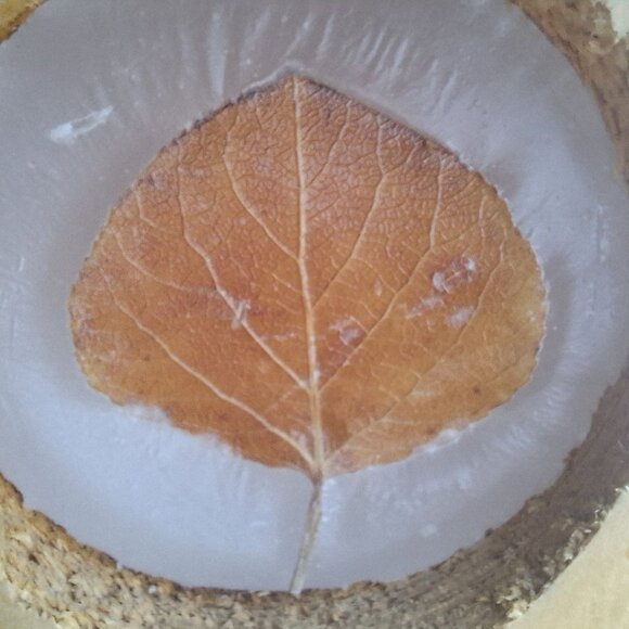 Wooden Candle Holder Leaf Fall Rustic Tree Cabin Cottage Country Wax 5 Inch Tall - Picture 3 of 10